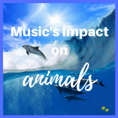 Music’s Impact on Animals