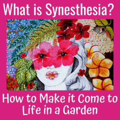 What is Synesthesia? How to Make it Come to Life in a Garden