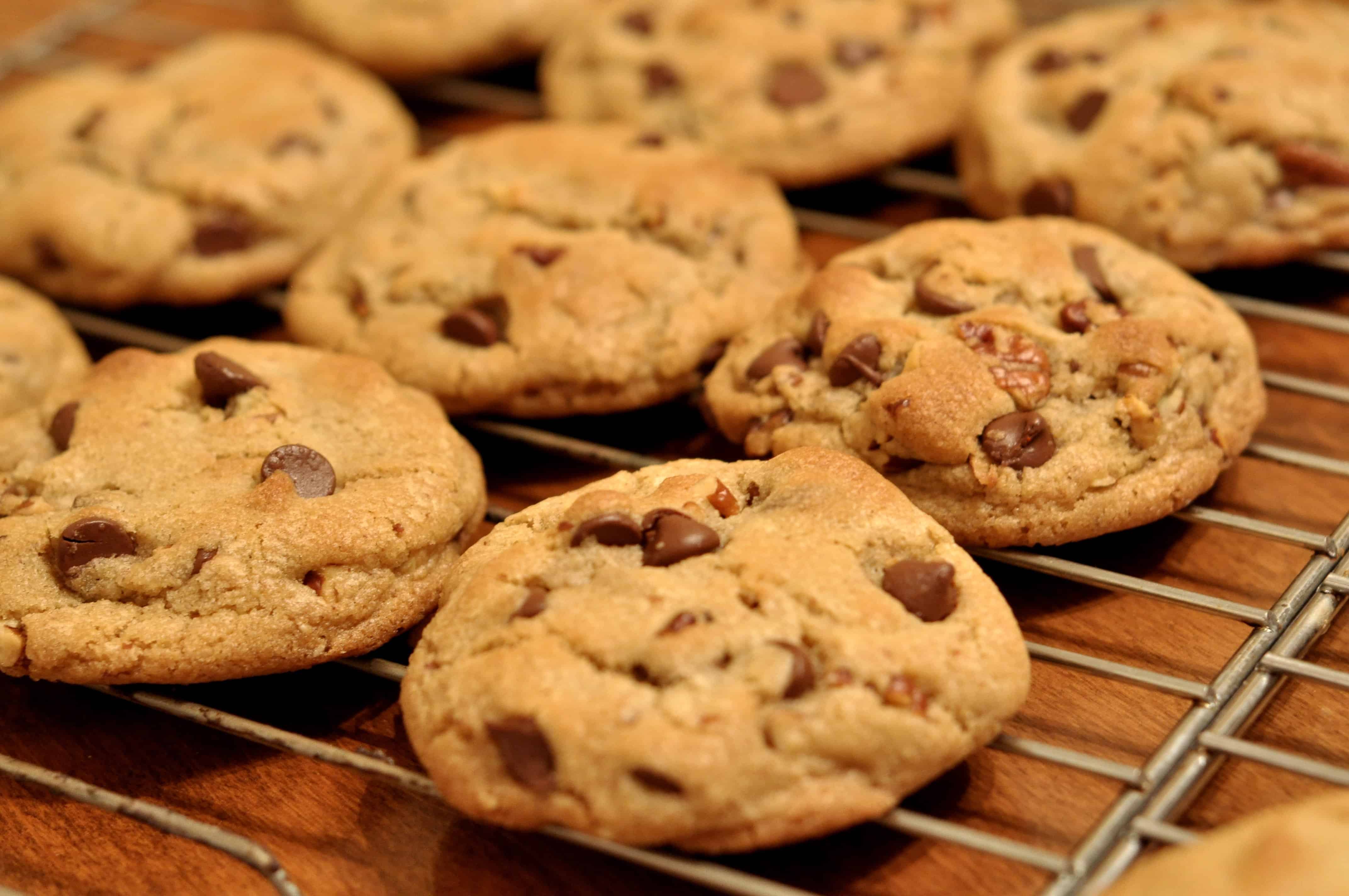 best high altitude chocolate chip cookies