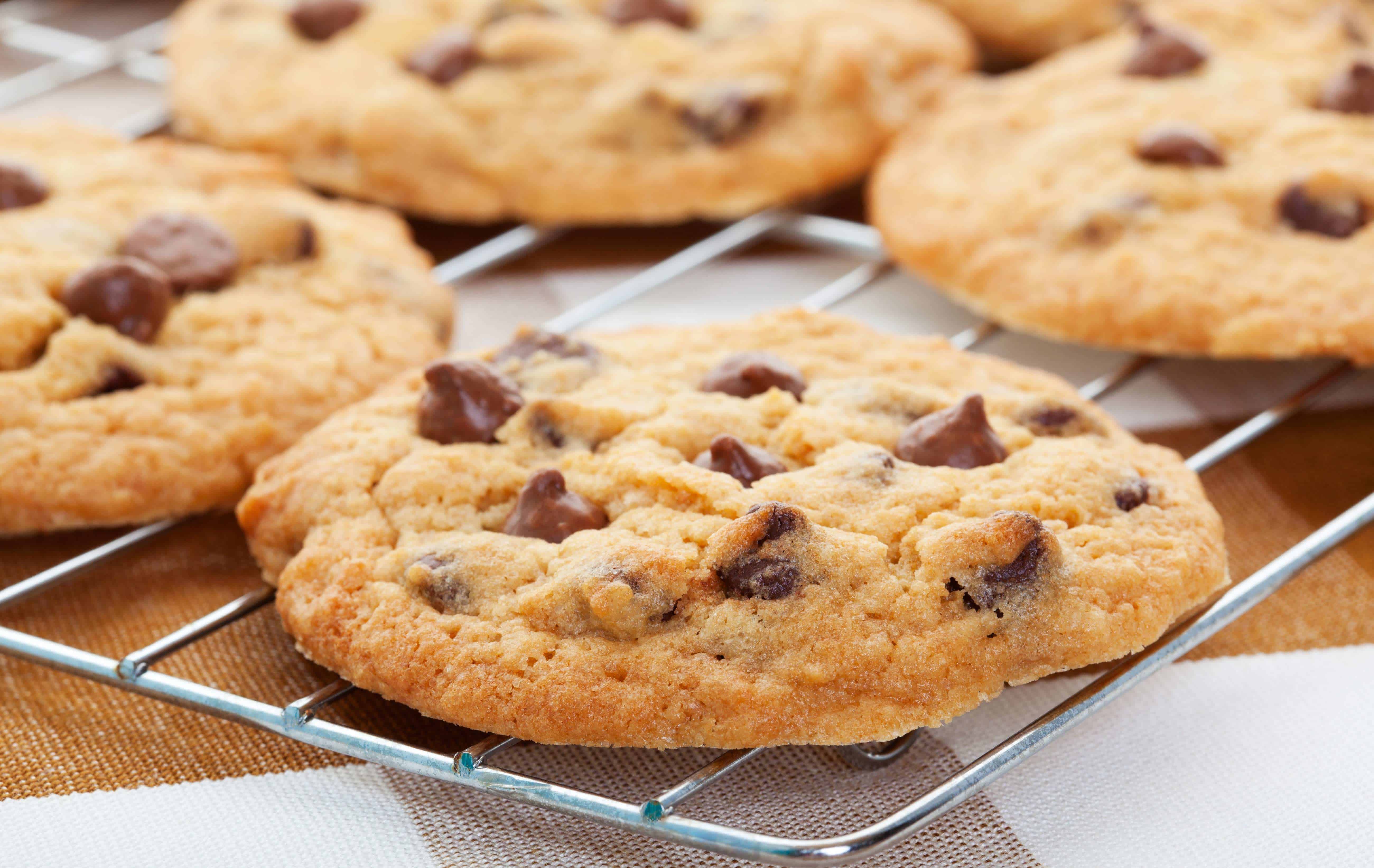 best chocolate chip cookies ever, Good Nutrition Brighter Children, chocolate chip cookie, best chocolate chip cookie ever, recipes for chocolate chip cookies, chocolate chip