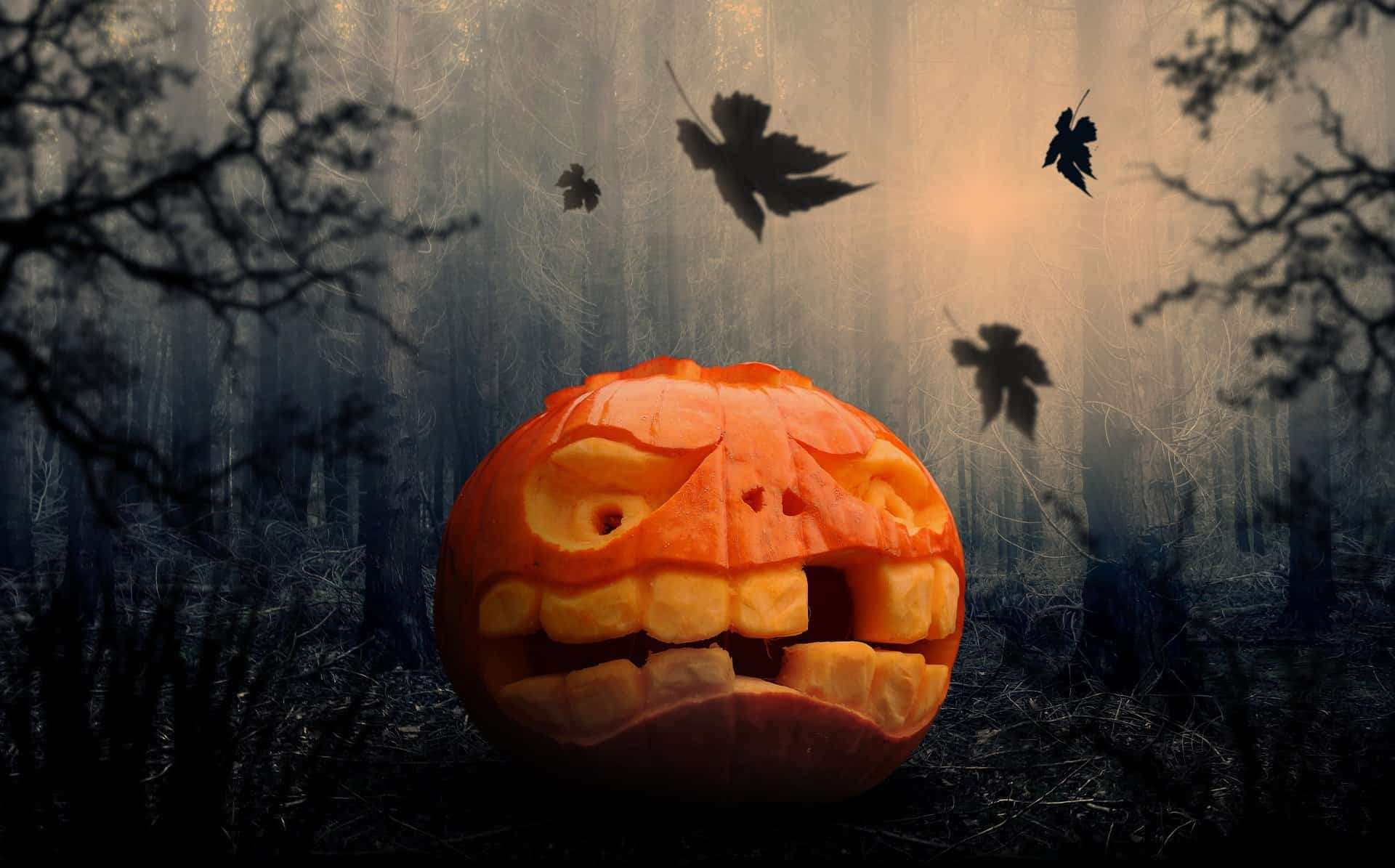 Great Halloween books, pumpkin in the forest