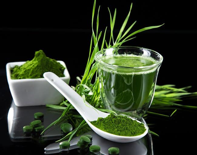 Benefits of Wheatgrass 17 Awesome Things You Need to Know