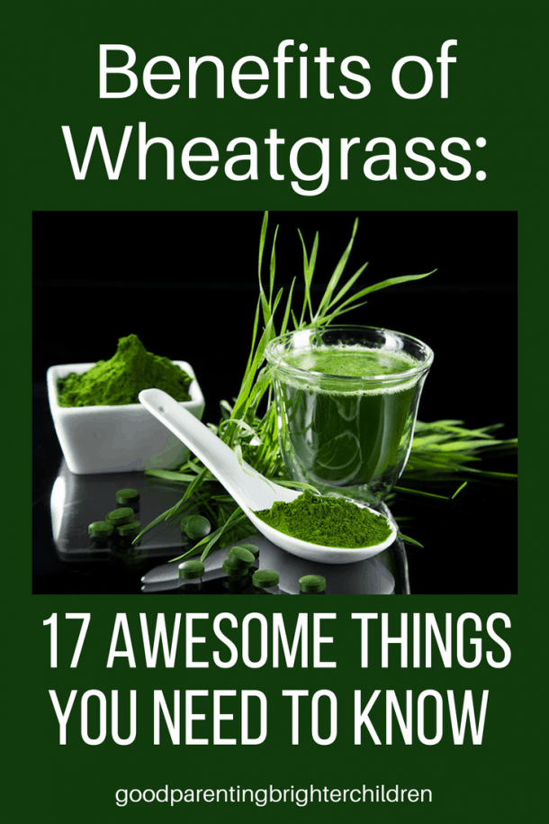 Benefits of Wheatgrass 17 Awesome Things You Need to Know