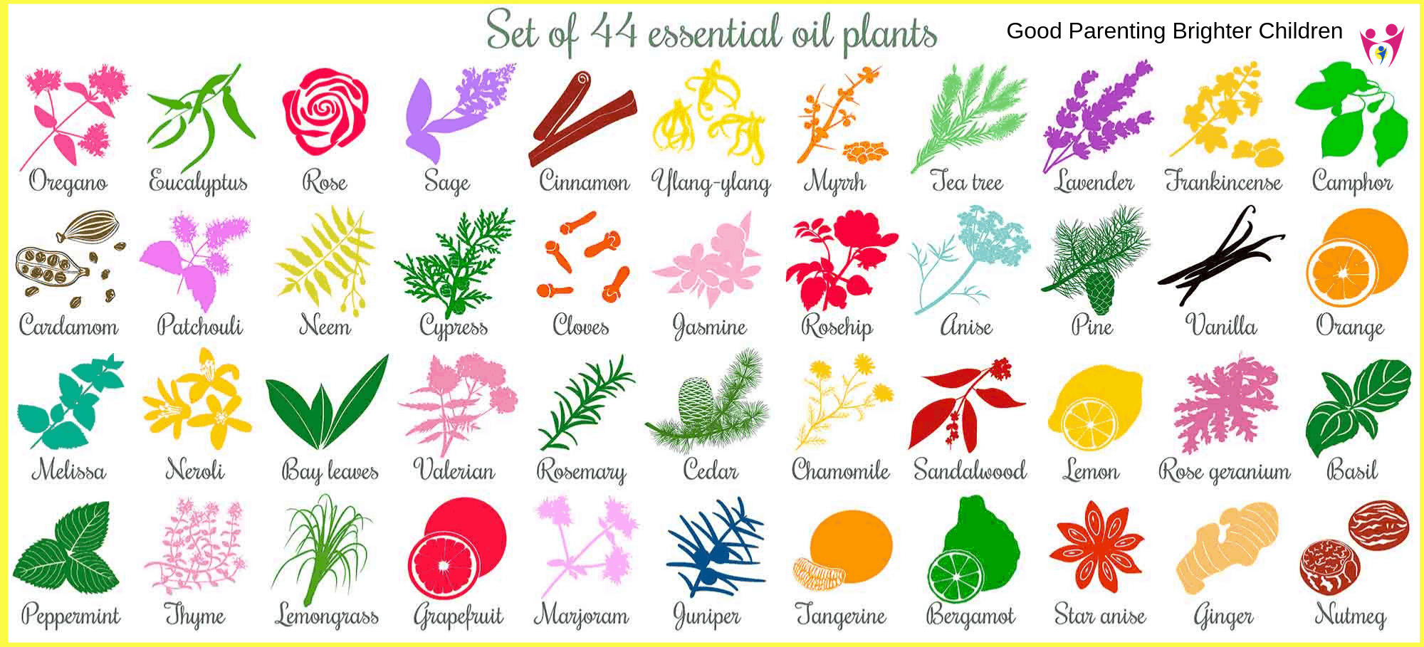 benefits of essential oils chart