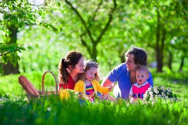 43 of the Best Family Picnic Ideas to Last a Lifetime