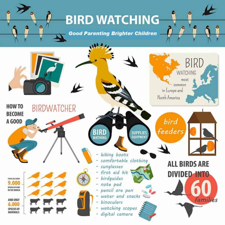 How to Teach Your Kids About Awesome Bird Watching