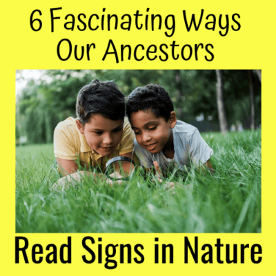 6 Fascinating Ways Our Ancestors Read Signs in Nature
